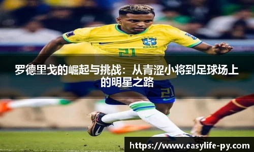 彩神VI首页官网