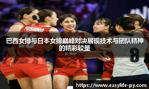 彩神VI首页官网