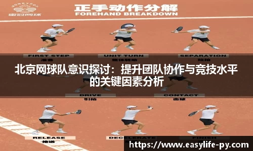 彩神VI首页