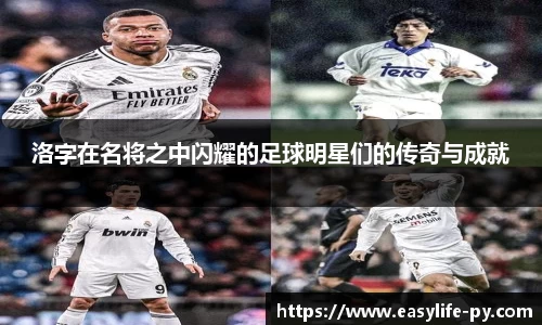 彩神VI首页官网